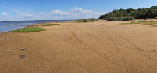 Sandy wild beach in the summer. Panorama.
