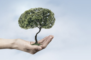 Green eco life 