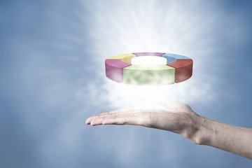 Statistics pie in palm