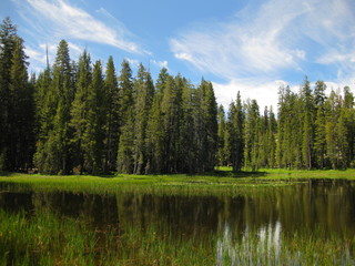 Tioga Road