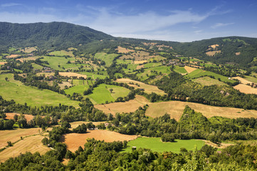 Fototapeta na wymiar Landscape in Romagna (Italy)