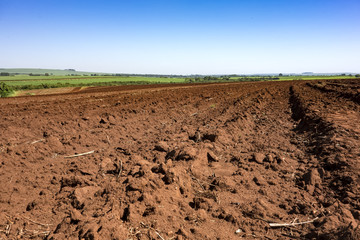 Soil soon after the peanut harvest on a sunny day in Sao Paulo, Brazil