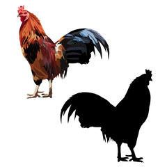 chicken/ 酉年、鶏

