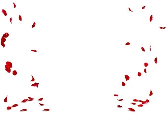 Rose petals fall to the floor