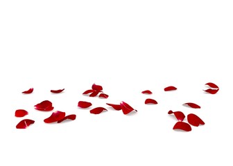 Red rose petals scattered on the floor