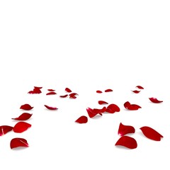 Red rose petals scattered on the floor