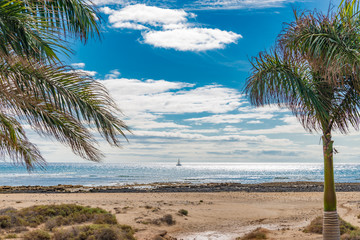 Lanzarote 2 Palmen und Kakteen mit Blick auf den Atlantik bei blauem Himmel und Sonne
