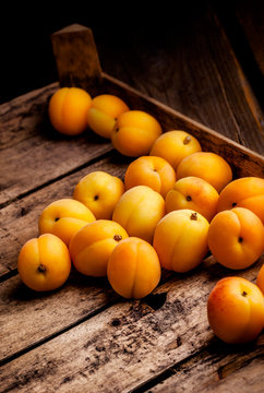 Apricots group in a old rustic wooden box and dark background