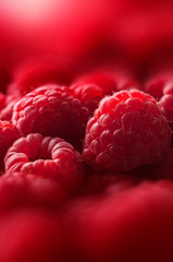 Raspberry closeup group macro detail narrow focus