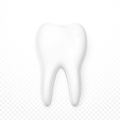 Realistic tooth isolated on a white background . White tooth for dental services. Tooth 3D. Tooth with a transparent shade . Molar. Teeth whitening . Tooth for a banner . Advertising dentistry.