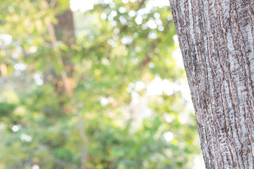 Abstract blur textured wall Copy space