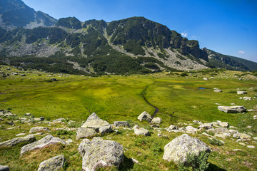 Landscape of Green forest in Pirin Mountain , Bulgaria