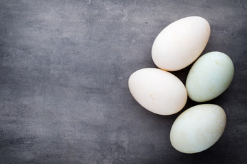  Duck eggs on a cage gray background.