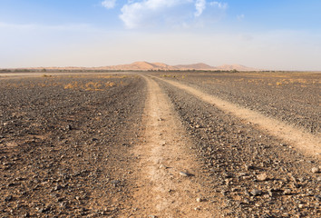 Fototapeta premium road in the desert