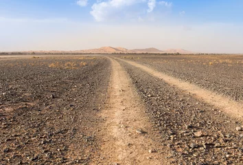 Cercles muraux Sécheresse road in the desert