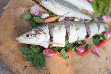 Freshwater fishes susceptible host of opisthorchis viverrini