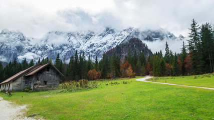 Autumn morning in the alps