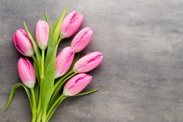 Tulip pink, on the gray background.