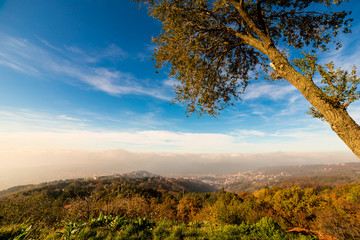 Fototapeta premium foggy morning in the bay of Trieste