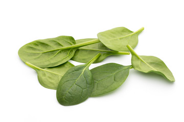Spinach on the isolated white.