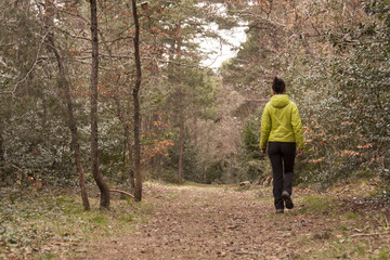 Caminando en el bosque, Pirineos Aragones, España
