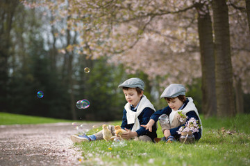 Two adorable preschool children, boy brothers, playing with litt