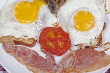 Close up Eggs on Toast with bacon tomato and mushrooms