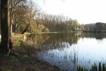 Seenlandschaft im Frühjahr