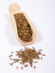 Ground cumin in a spoon.