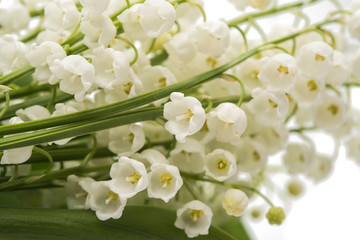 a bouquet of lily of the valley close-up