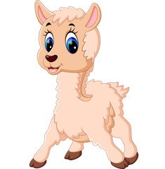 illustration of Cute baby sheep cartoon