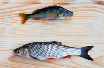 perch and chub on a wooden surface