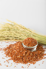 Brown rice isolated