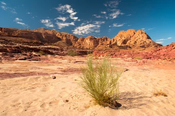 Afwasbaar fotobehang Sinai desert landscape © Kotangens