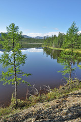 Landscape of the lake Sunny day.