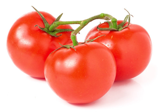 branch of three tomatoes isolated on white background