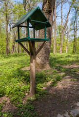 Feeders for birds in the park in spring