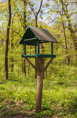 Feeders for birds in the park in spring