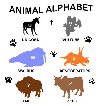 animal silhouettes - animal alphabet