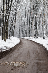 Winter forest road with dark trees, ground covered with snow