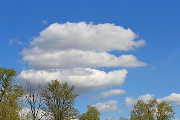 Obraz premium wiosenne niebo