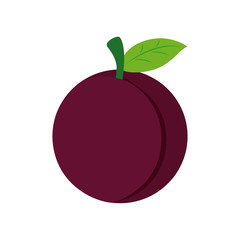 Fruit