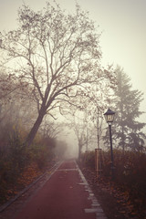 Misty morning in a city forest park with a red gravel footpath