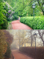 Forest Park in Spring and Autumn Seasons - 108824361