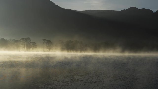 Row of pine trees at lake Buttermere on a foggy morning.