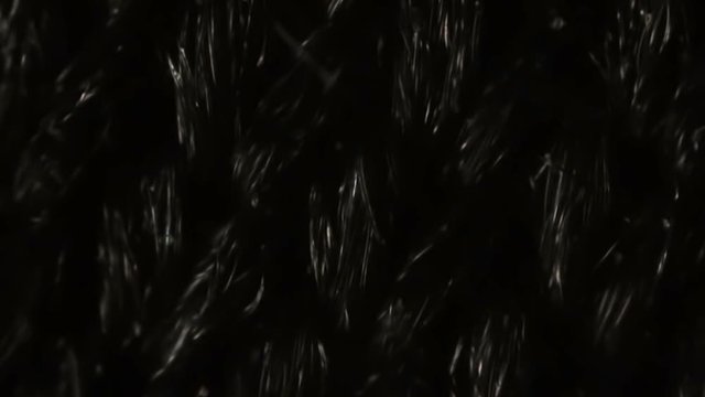 Black nylon mesh cloth fibers under the microscope.