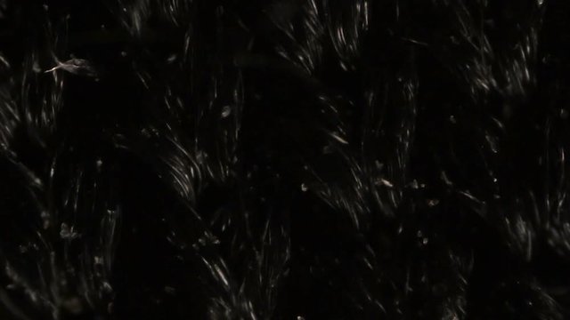 Black nylon mesh cloth fibers under the microscope.