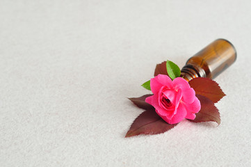 A single pink rose displayed in a small brown bottle on a white background