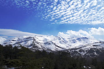 Fototapeta premium Lebanese mountains
