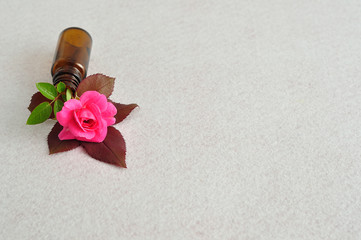A single pink rose displayed in a small brown bottle on a white background
